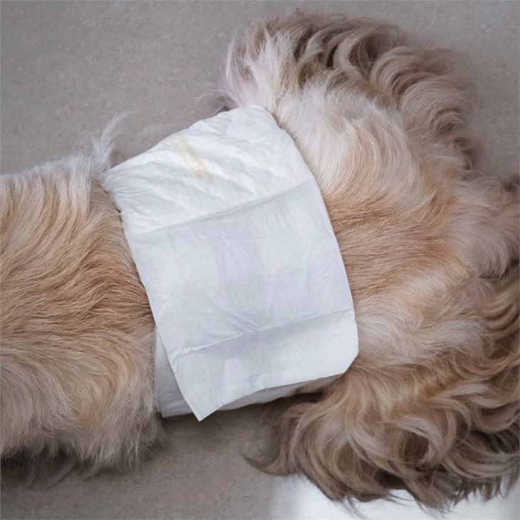 Bolquers per a mascotes, per a gossos i gats femenins, a prova de fuites, súper absorbents