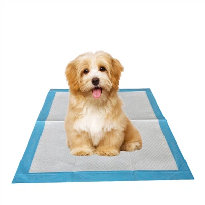 Coixinets antibacterians d'un sol ús per a mascotes