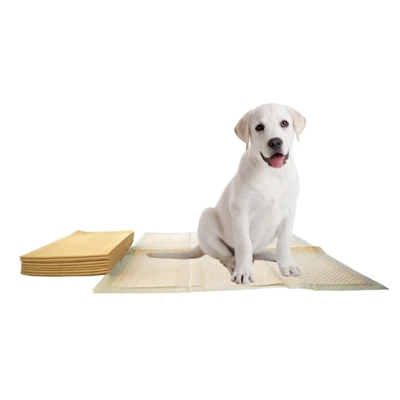 Orinals de bambú d'un sol ús per a gossos