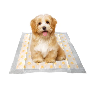 Salut d’un sol ús - Monitorització del gos Pee Pad