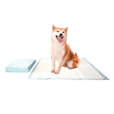 Tianjin Yiyi Silver ION ION PET POTTY POTTY